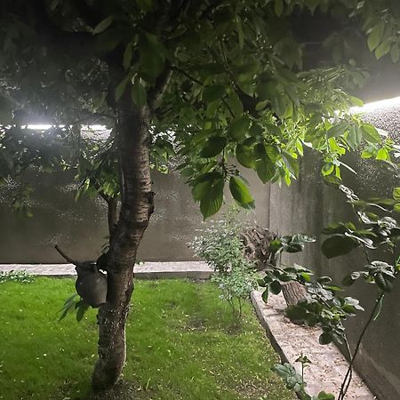 Sm Apartment 1 Erivan Dış mekan fotoğraf