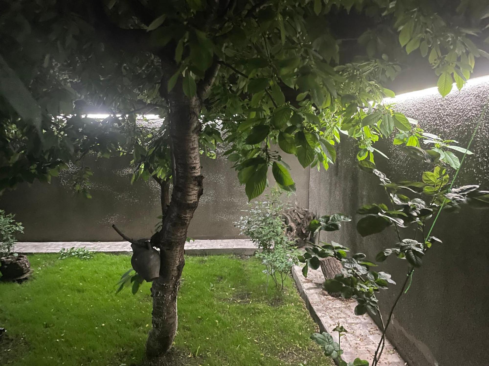 Sm Apartment 1 Erivan Dış mekan fotoğraf